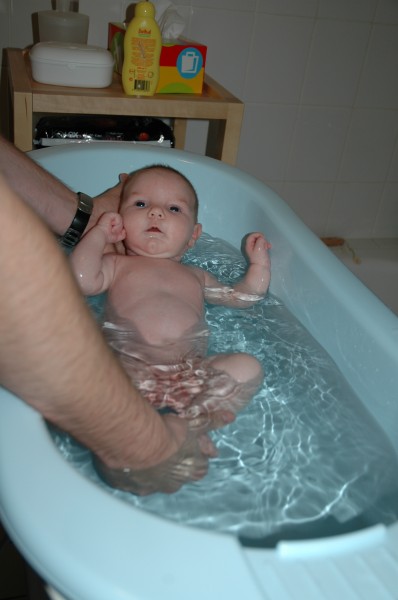 Click for the original image