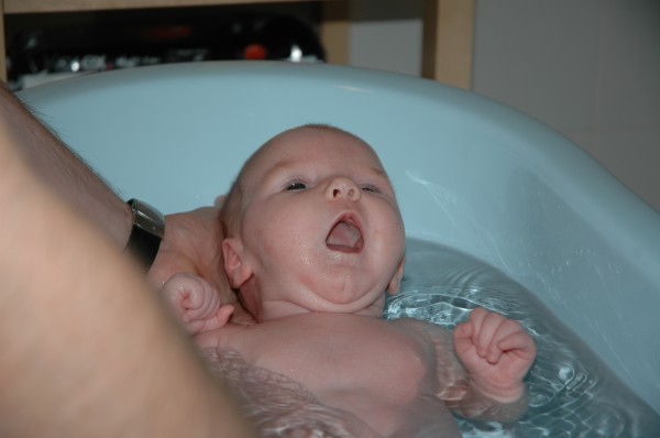 Click for the original image