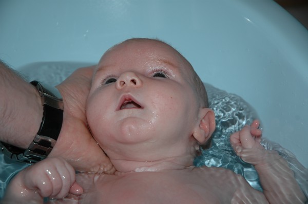 Click for the original image