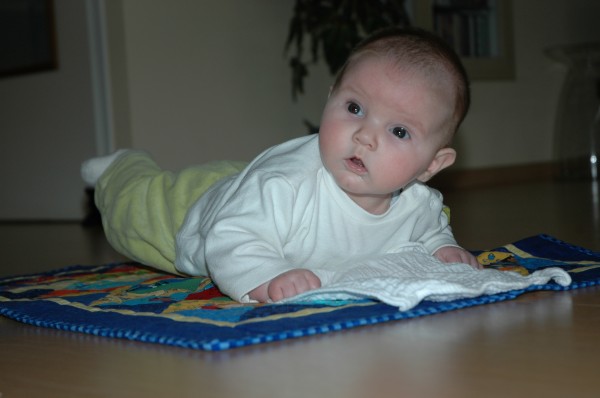 Click for the original image