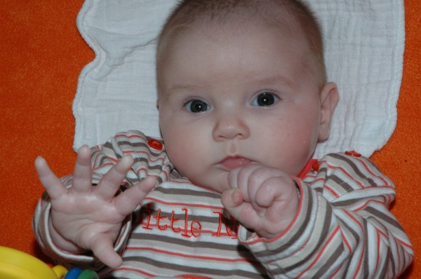 Click for the original image