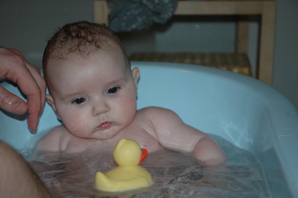 Click for the original image