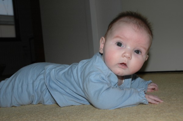 Click for the original image