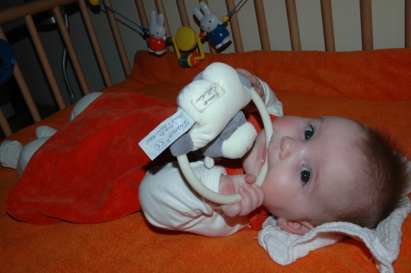 Click for the original image