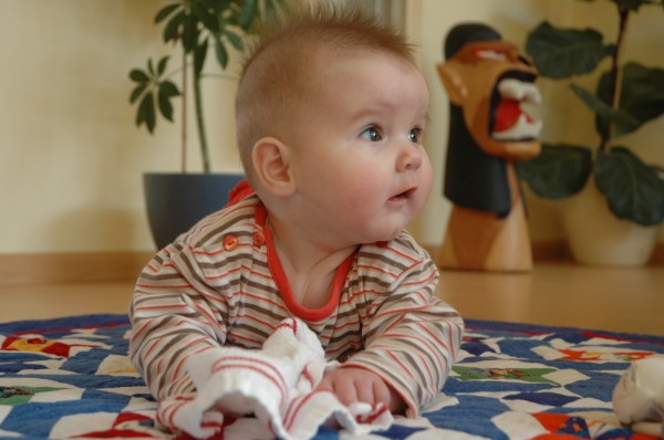 Click for the original image