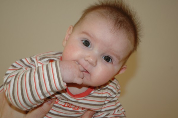 Click for the original image