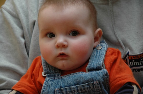 Click for the original image