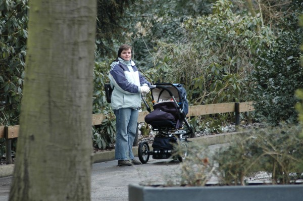 Click for the original image