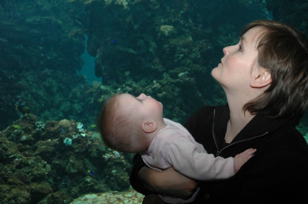 Click for the original image