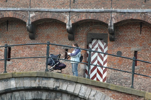 Click for the original image