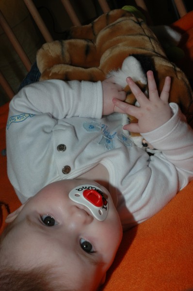 Click for the original image