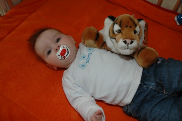 Click for the original image