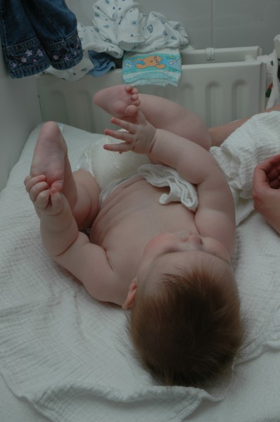 Click for the original image