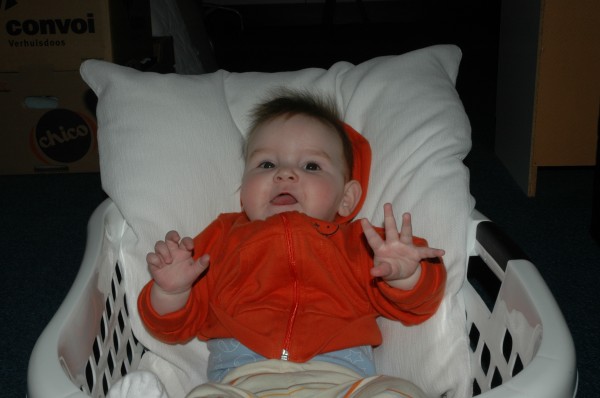 Click for the original image