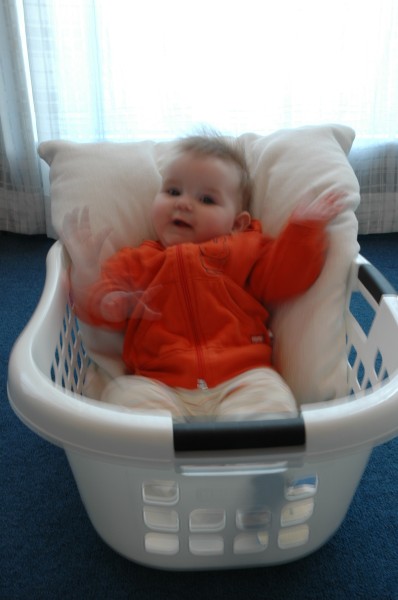 Click for the original image