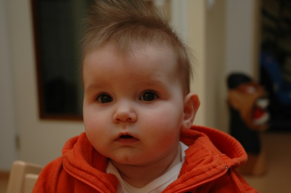 Click for the original image