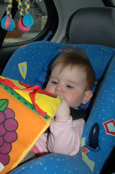 Click for the original image