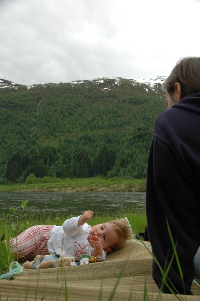 Click for the original image