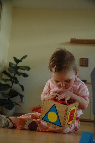 Click for the original image