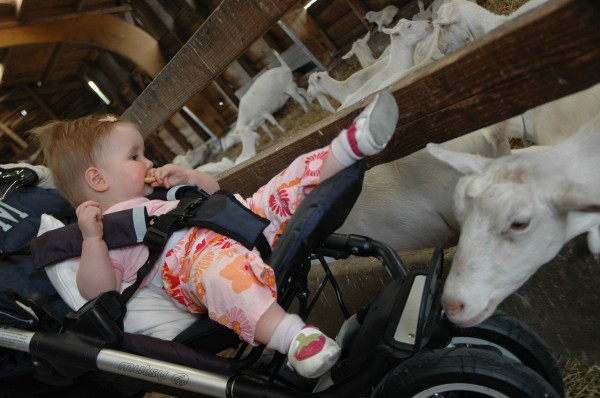 Click for the original image