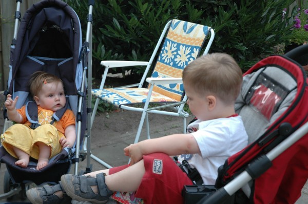 Click for the original image