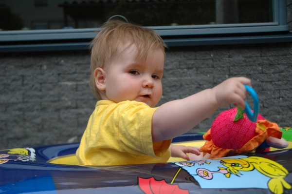 Click for the original image