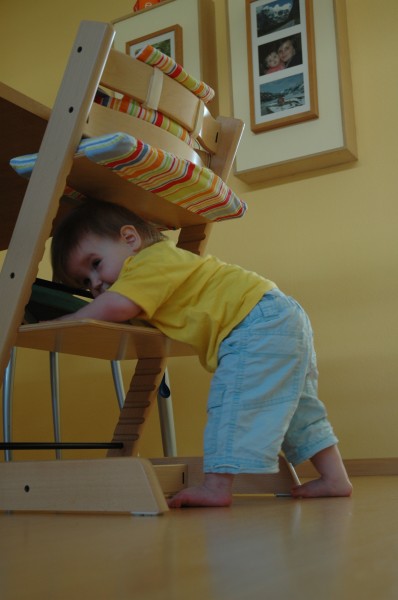 Click for the original image