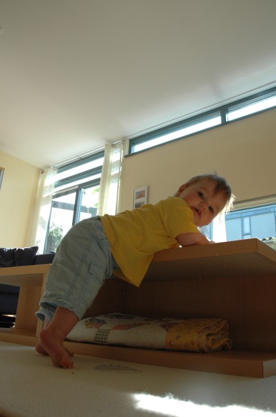 Click for the original image