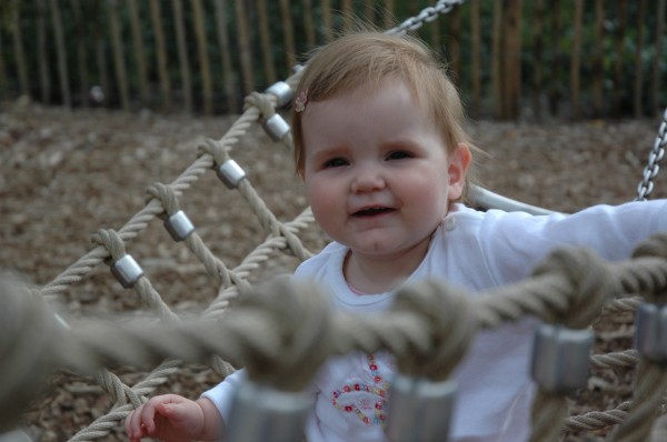 Click for the original image