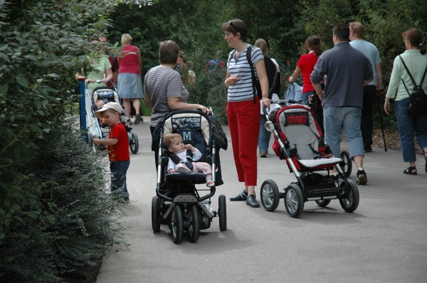 Click for the original image