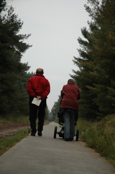 Click for the original image