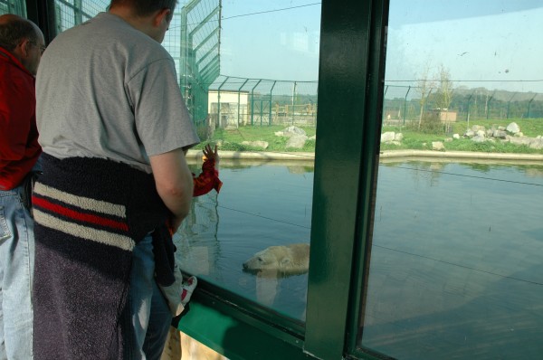 Click for the original image