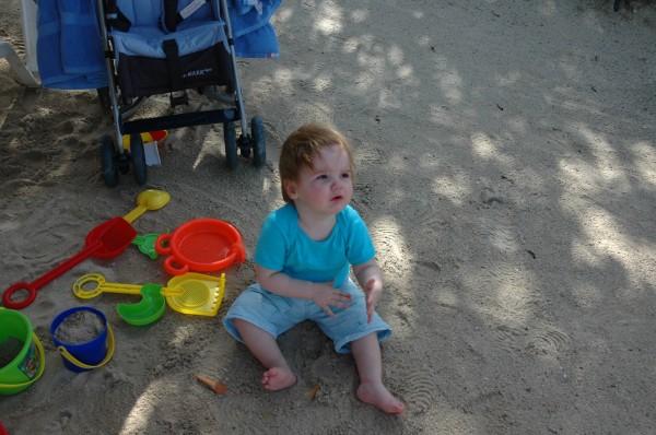 Click for the original image