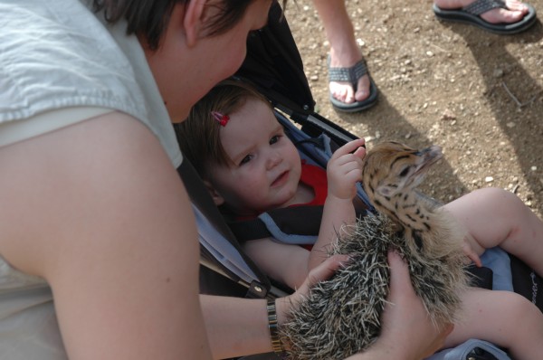 Click for the original image