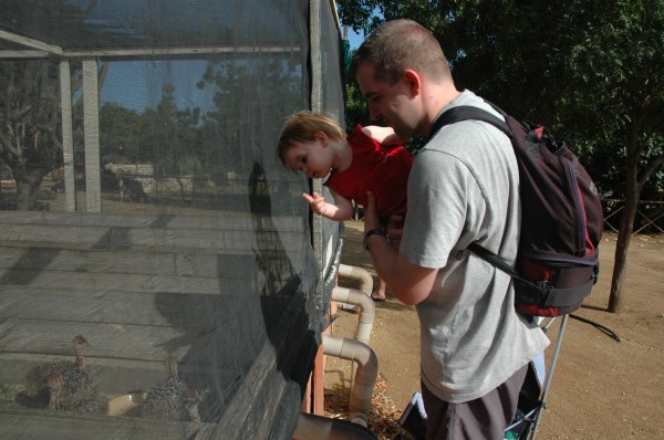 Click for the original image