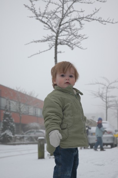 Click for the original image