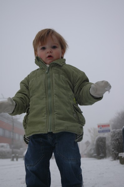 Click for the original image