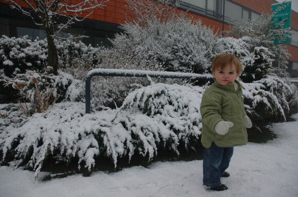 Click for the original image