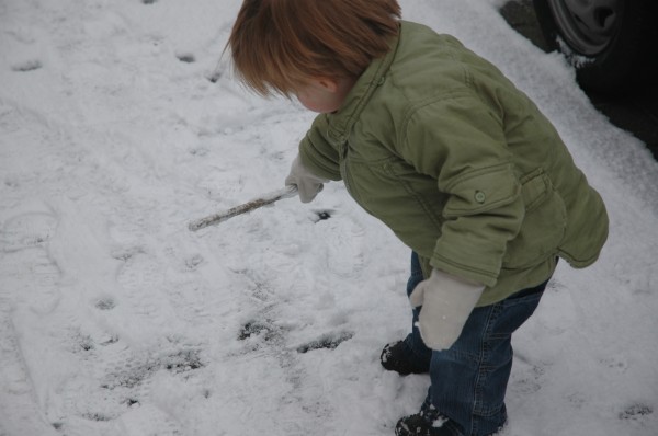 Click for the original image