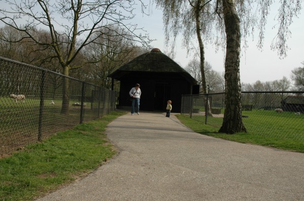 Click for the original image