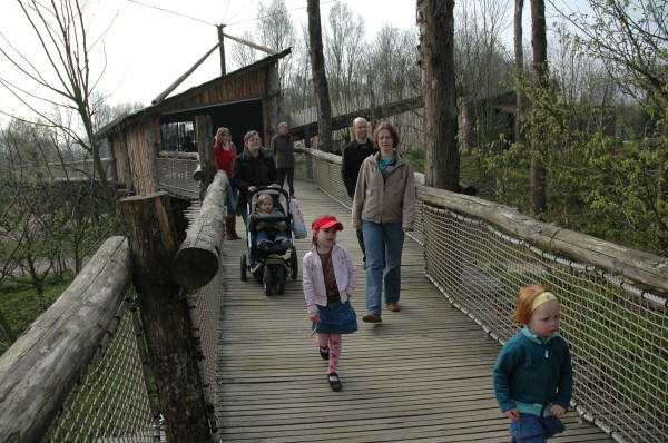 Click for the original image