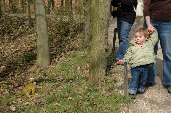 Click for the original image