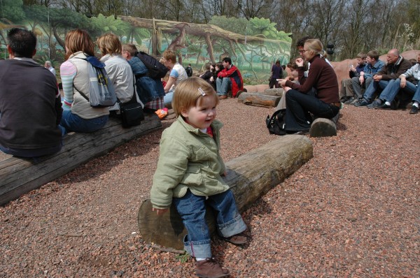 Click for the original image