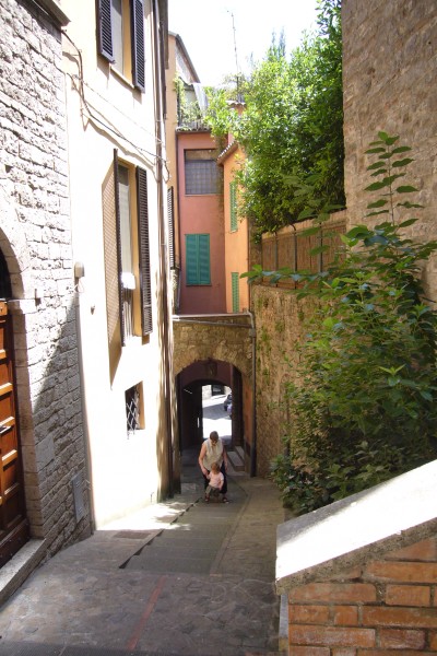 Click for the original image