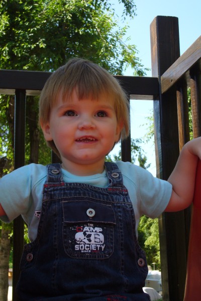 Click for the original image