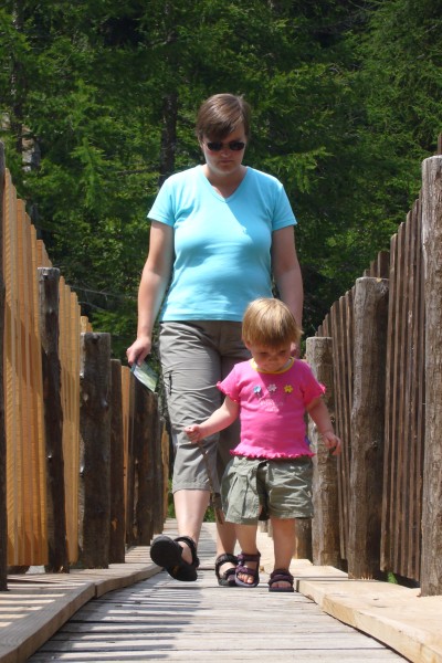 Click for the original image