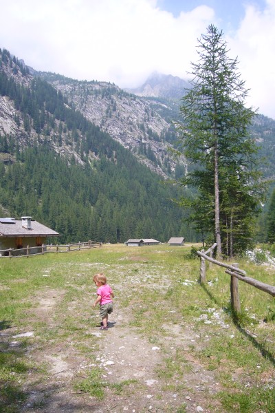 Click for the original image