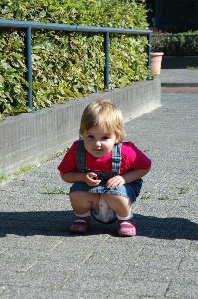 Click for the original image