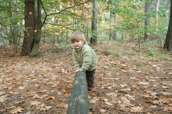 Click for the original image