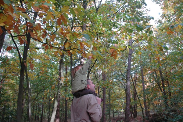 Click for the original image